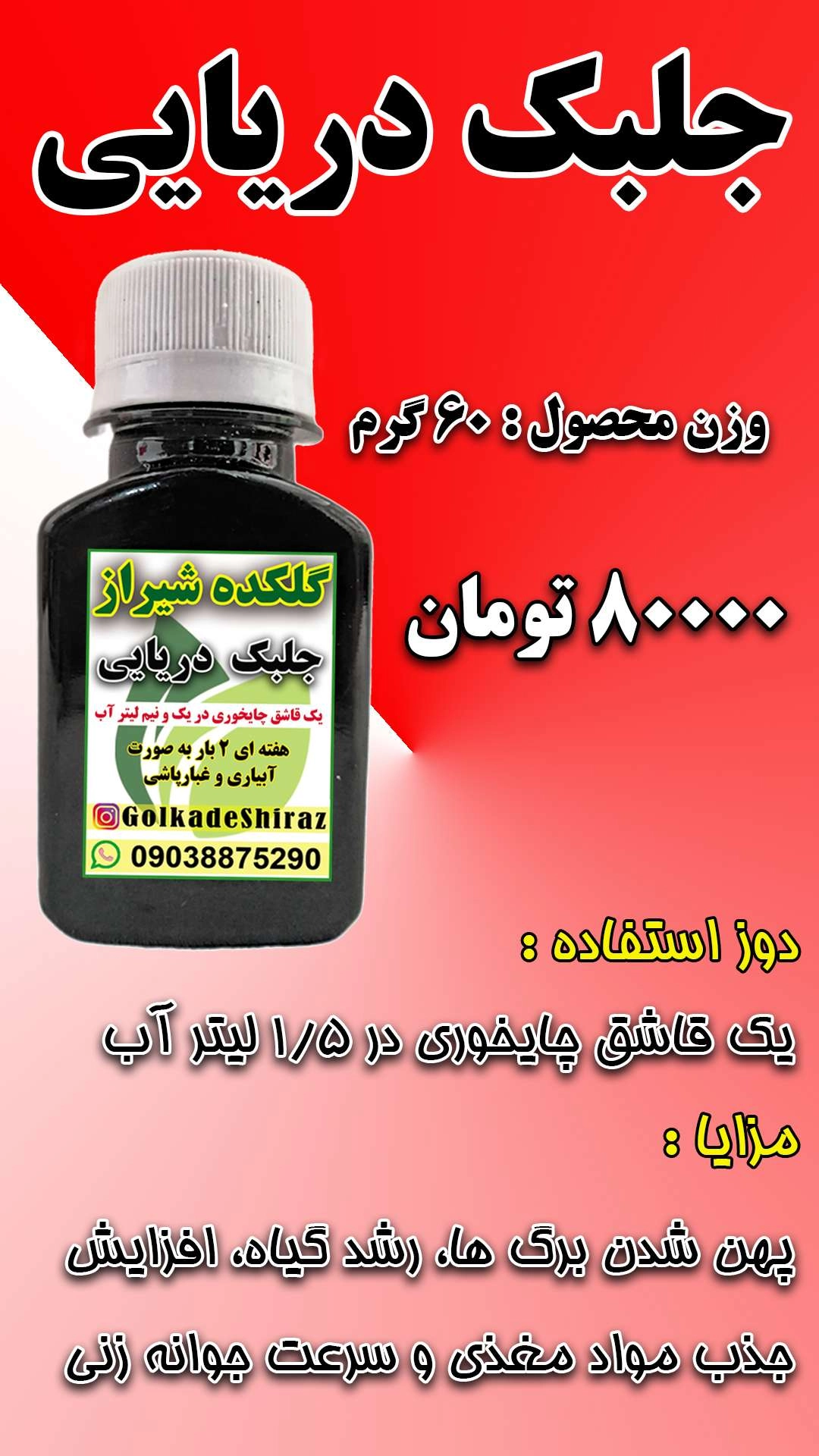 جلبک دریایی