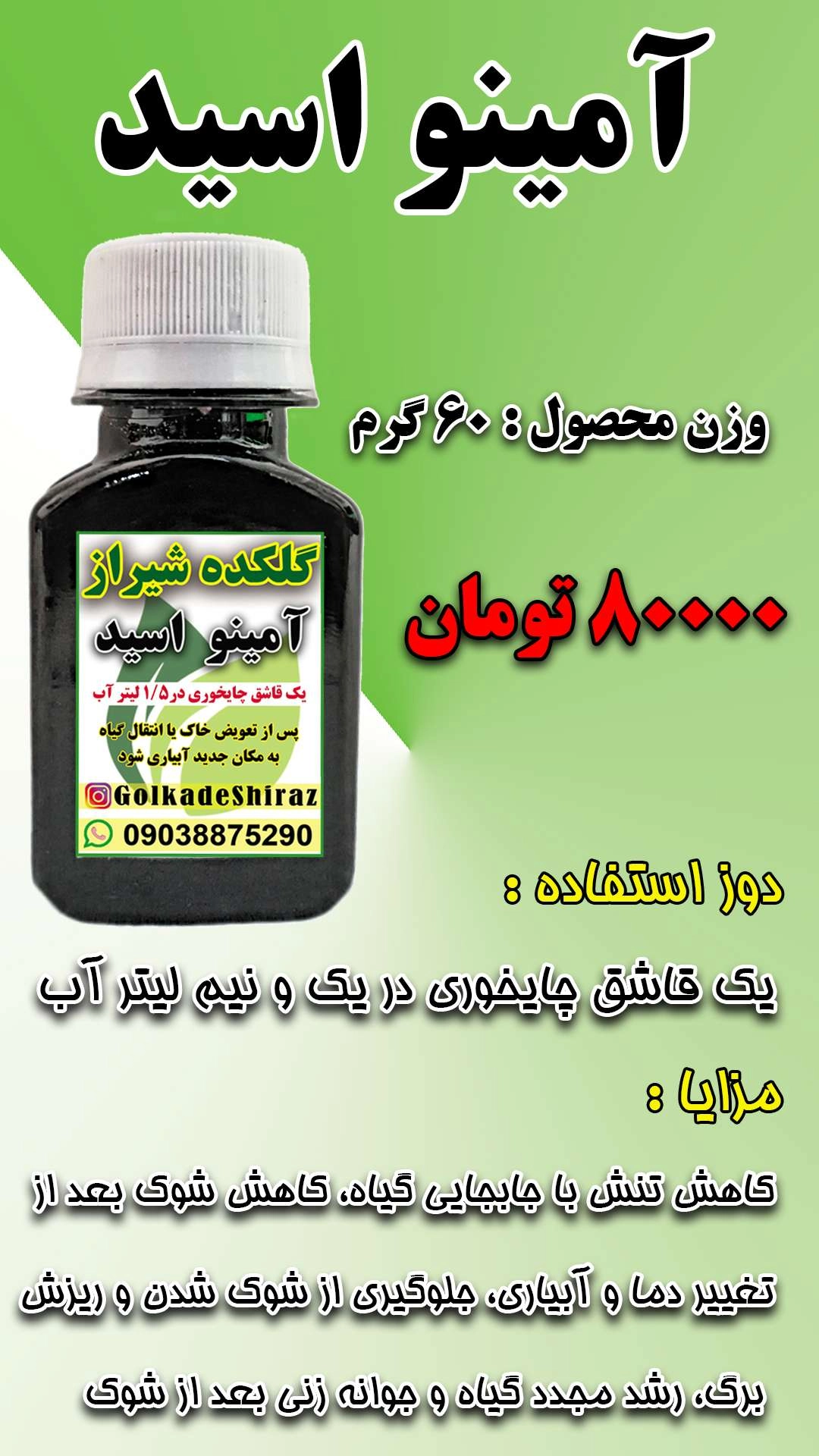 آمینو اسید